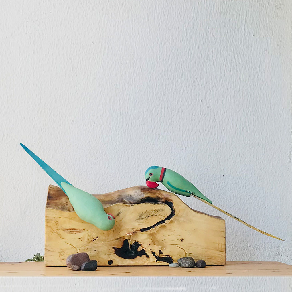 Exotic Indian Parakeet Wooden Base Table Tops - myBageecha