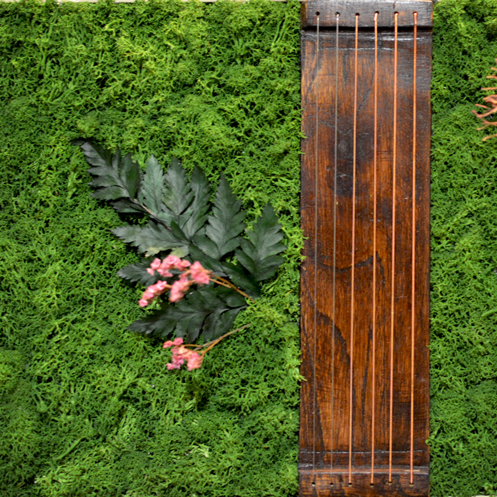 White wood frame with natural greenery