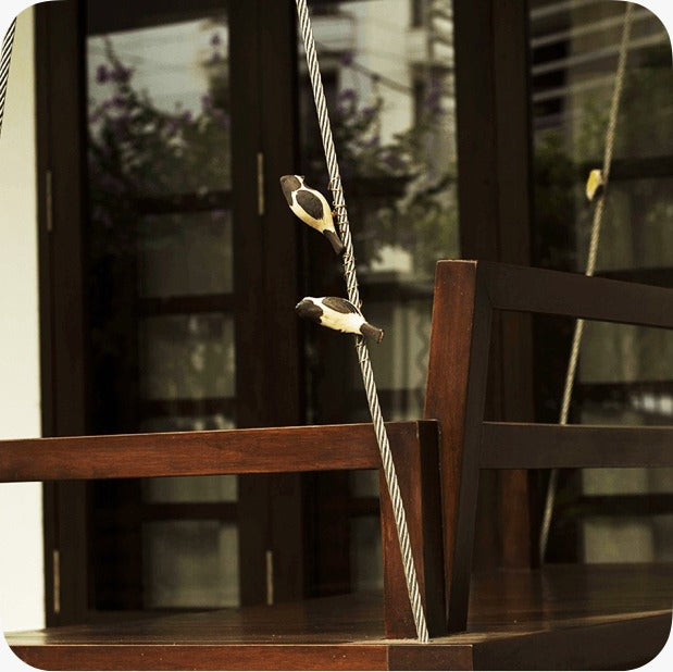 Peppy Pops - Bul Bul ( A Pair) - myBageecha