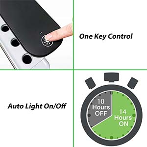 Smart Garden-Indoor Hydroponic Growing Kit -3 Pods - myBageecha