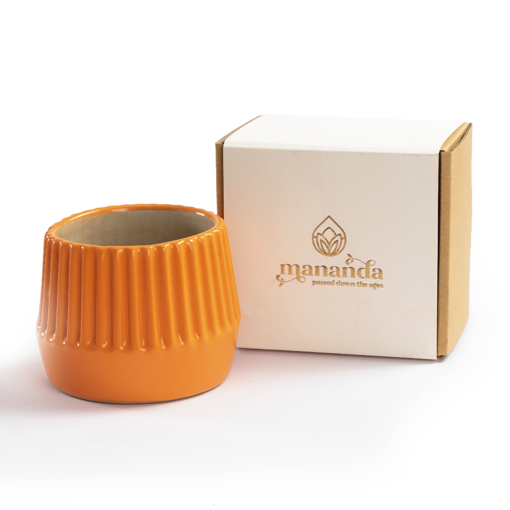 Maven Ceramic Planter - myBageecha
