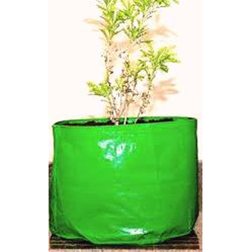 Grow Bag 15 x 15 used for potatoes, ginger and turmeric in terrace gardens