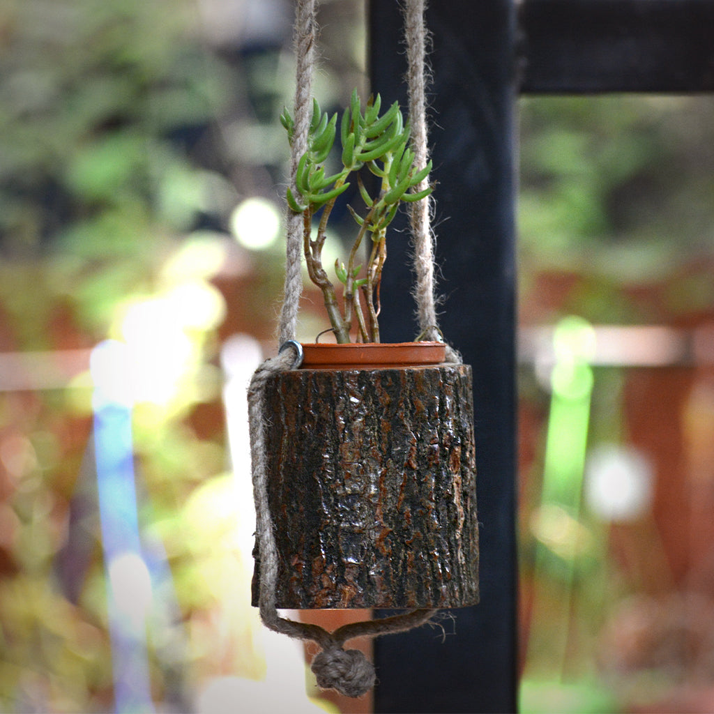 timber hanging planter Timber Tambour Hanging Planter for Indoor Plants
