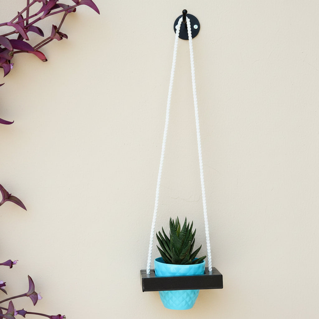 DIY - 1 Tiered Hanging Pots in Balcony- myBageecha