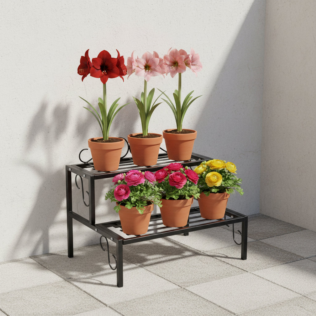 2 Tier Step Metal Stand shown with Amaryllis and ranunculus plants - myBageecha
