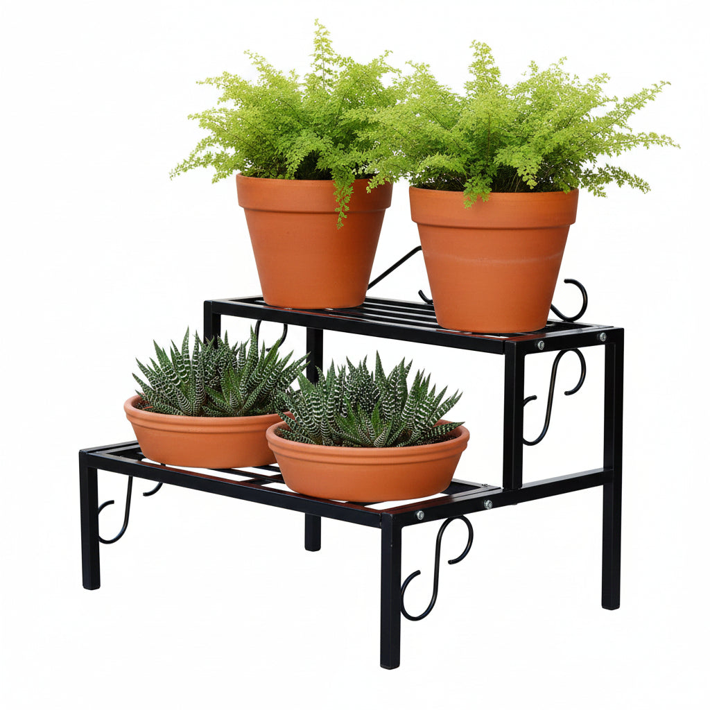 2 Tier Step Metal Stand show with Ferns and Succulents - myBageecha