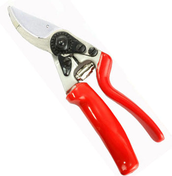 Nano 07 Plant Shears Red And Silver - myBageecha