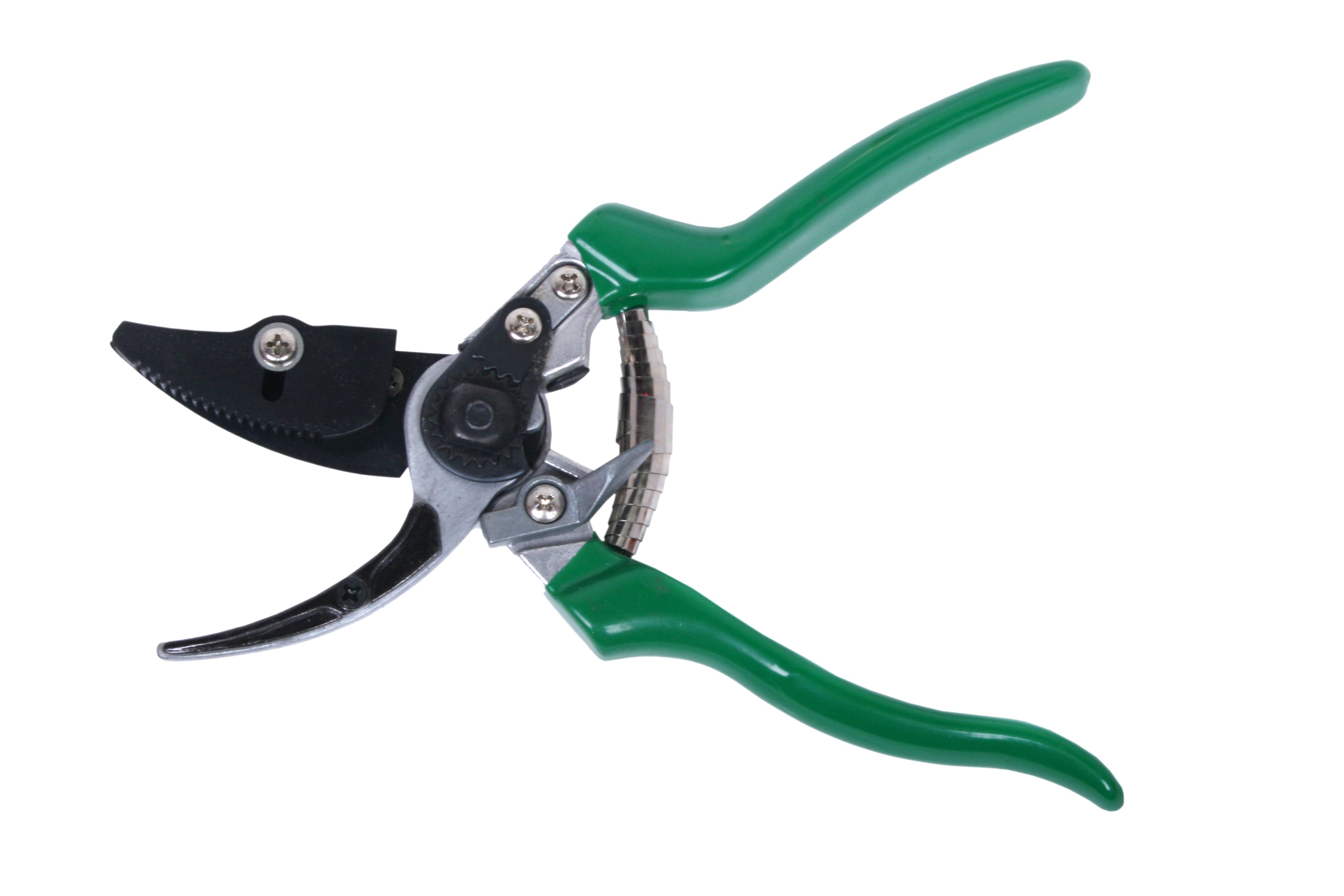 Cut And Hold Pruner Planter Silver And Green: Garden Tools - myBageecha