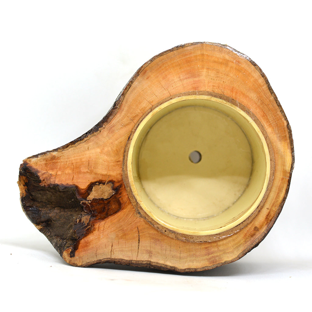 Umber Firkin Planter - myBageecha