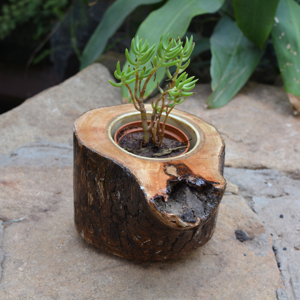 Umber Firkin Planter - myBageecha