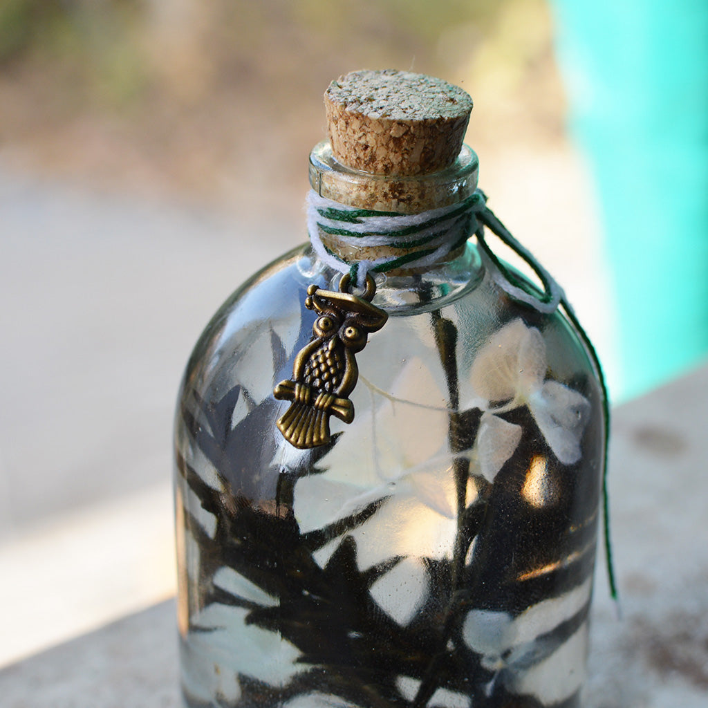 Sacramento Hooter Preserved Flower Tabletop closeup