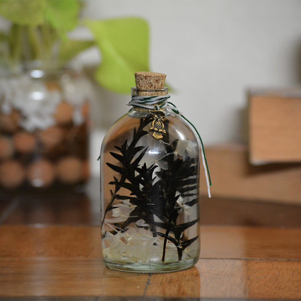 Sacramento Hooter Preserved Flower Tabletop on table – playful nature-inspired décor.