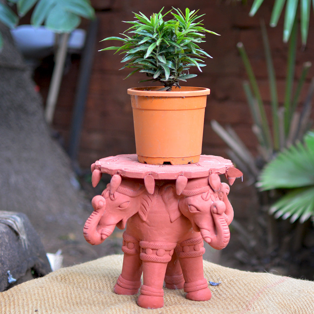 Four Headed Elephant Terracotta Stand front view – myBageecha