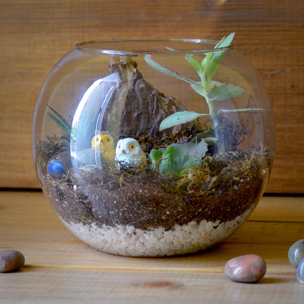 Starry Nights Miniature Garden Terrarium Kit, from myBageecha