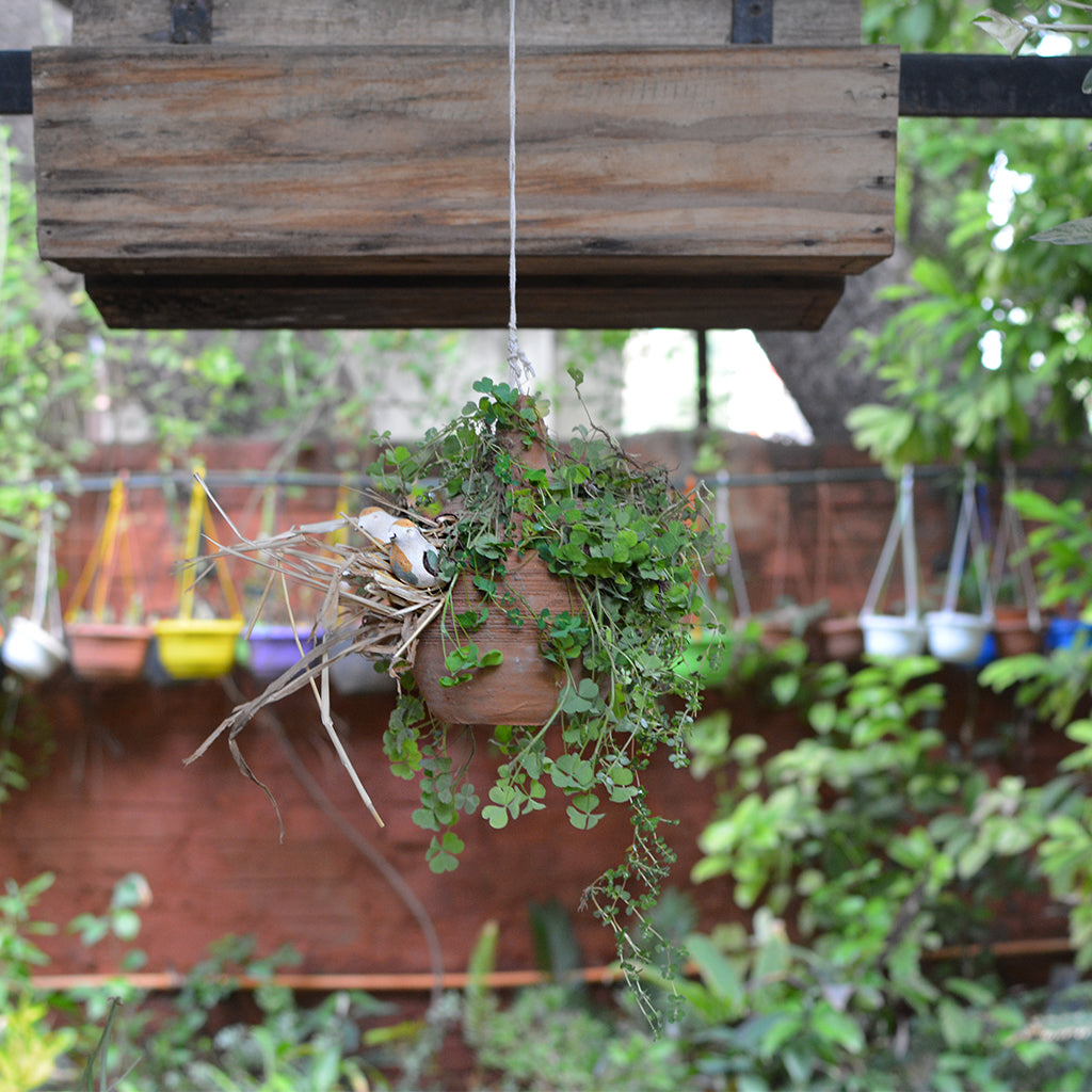 Side view of Birdhouse Pot