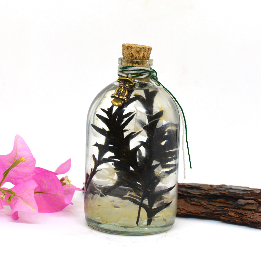 Sacramento Hooter Preserved Flower Tabletop - myBageecha