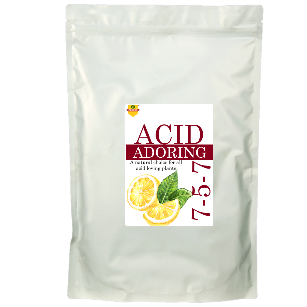 Acid Adoring-Complete food for Acid loving plants - myBageecha