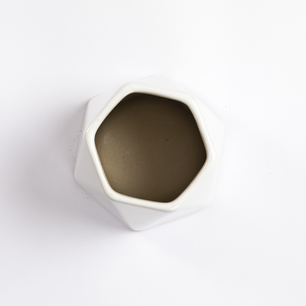 Mila Ceramic Planter – myBageecha
