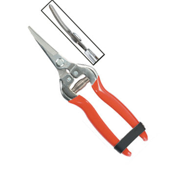 S.S Fruit Pruner with silver finish – myBageecha