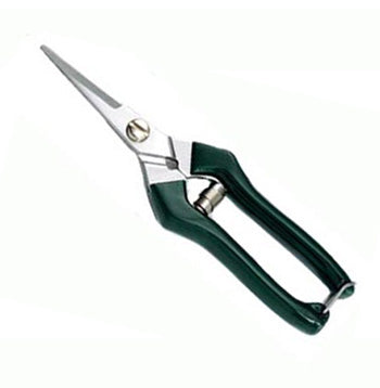 S.S Fruit Pruner Silver And Green for balcony plants