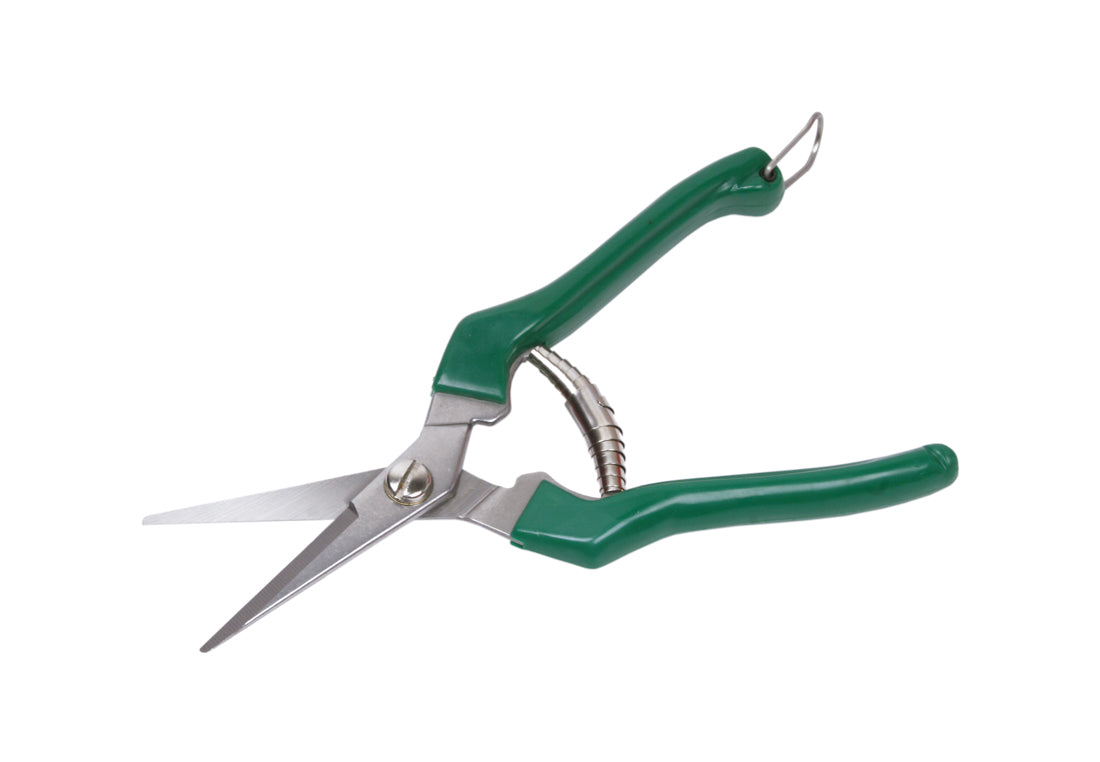 S.S Fruit Pruner Silver And Green for bonsai care
