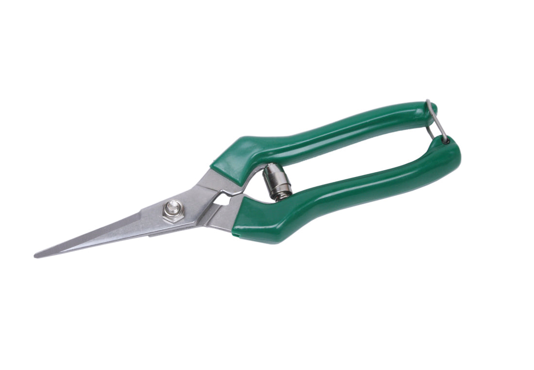 S.S Fruit Pruner Silver And Green in garden setup