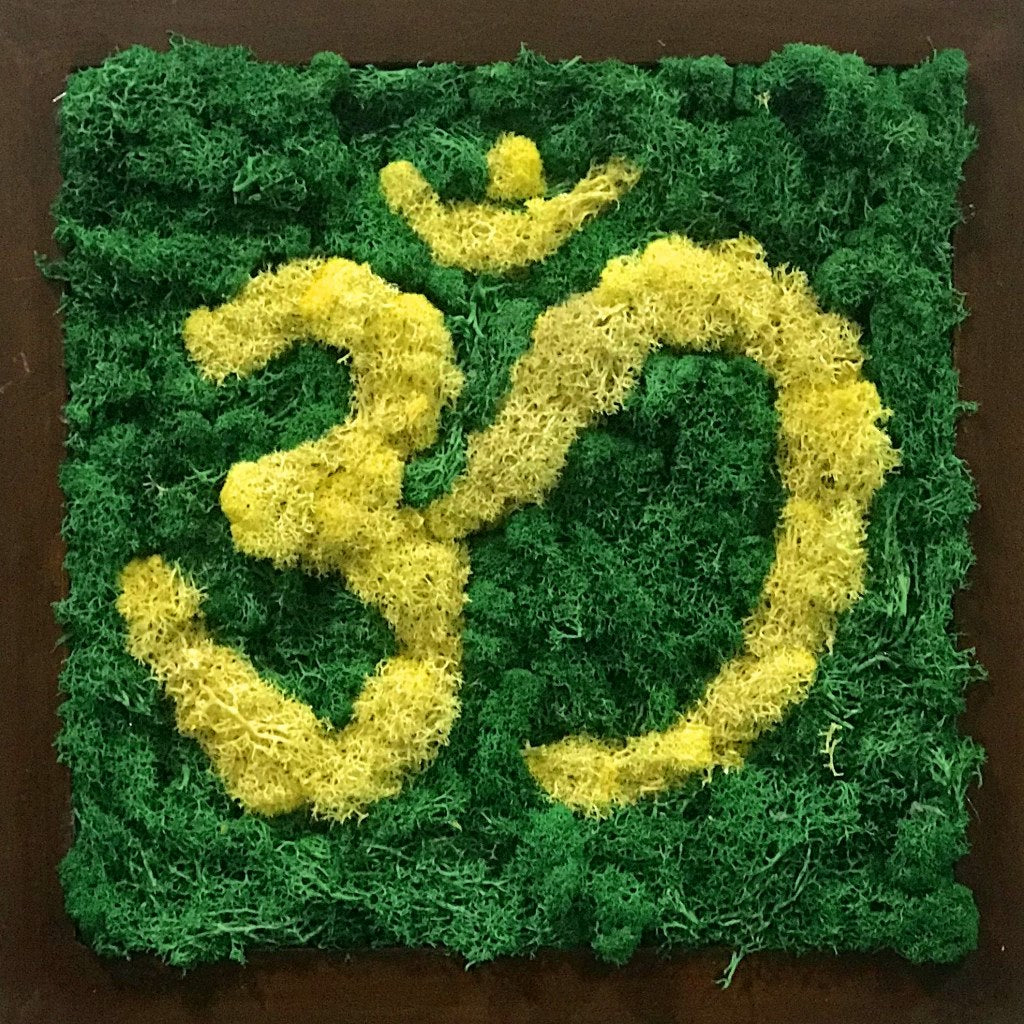 AUM Preserved Moss Frame with Dark Wood - myBageecha