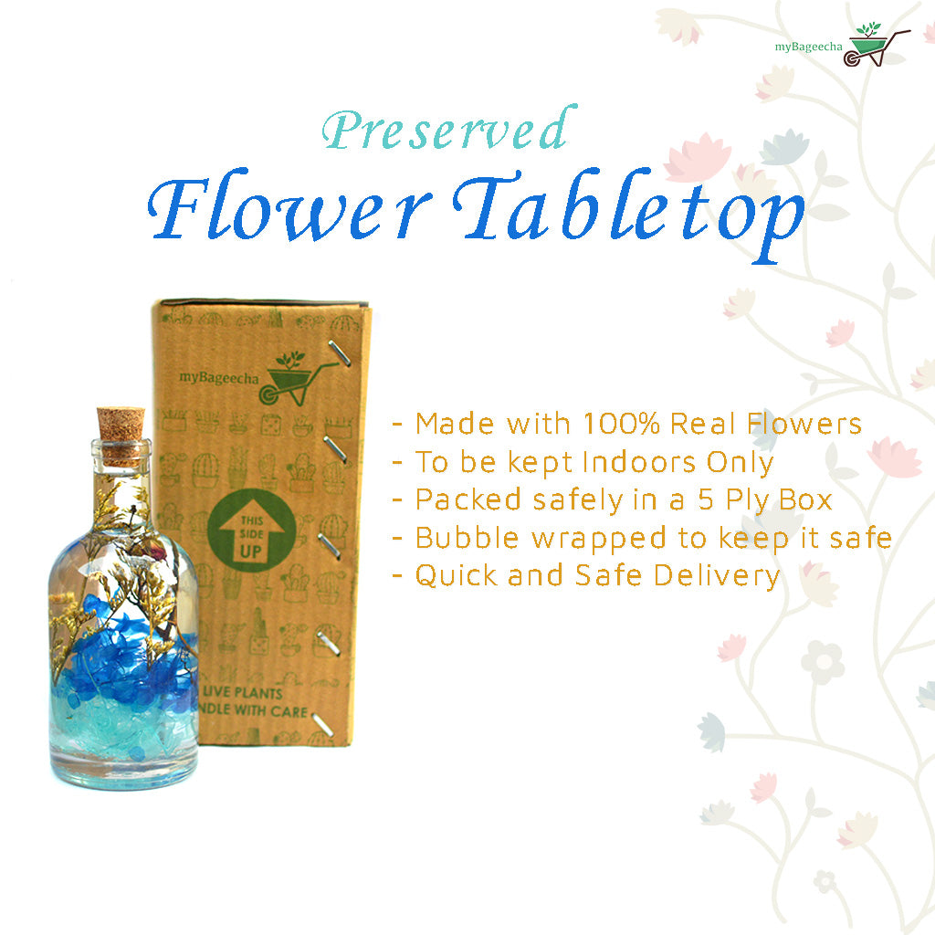 A bright and refreshing preserved flower composition inspired by waves and ocean spray.