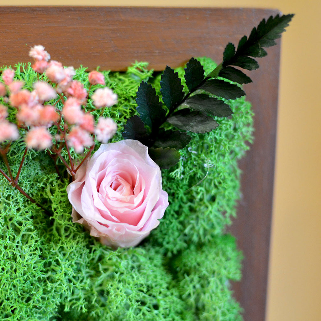 Close-up of preserved moss and pink blooms