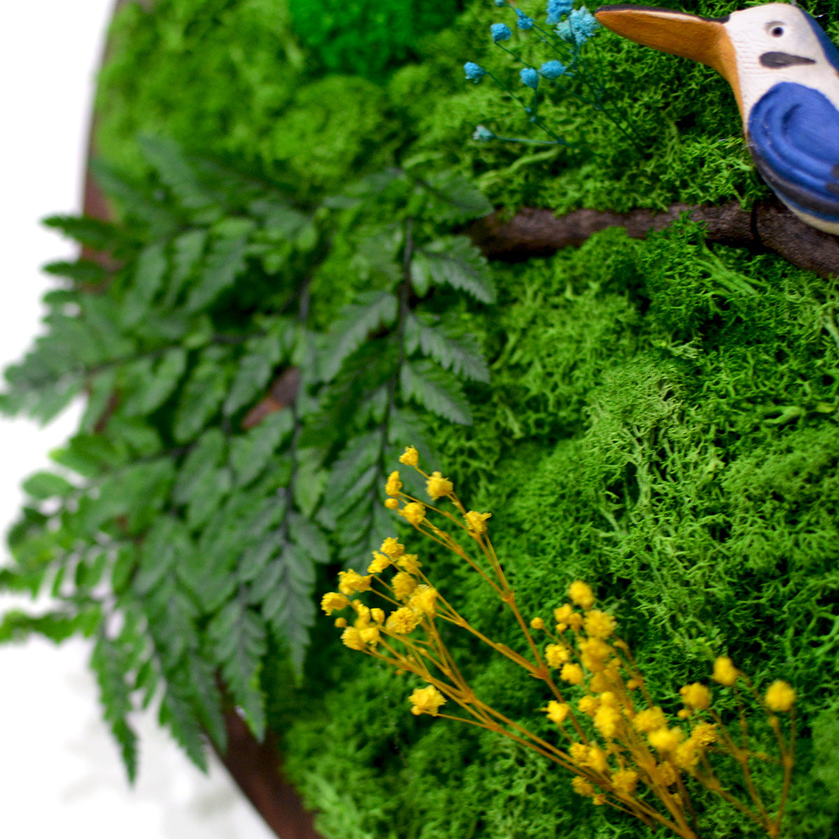 Creative abstract moss décor in dark wood