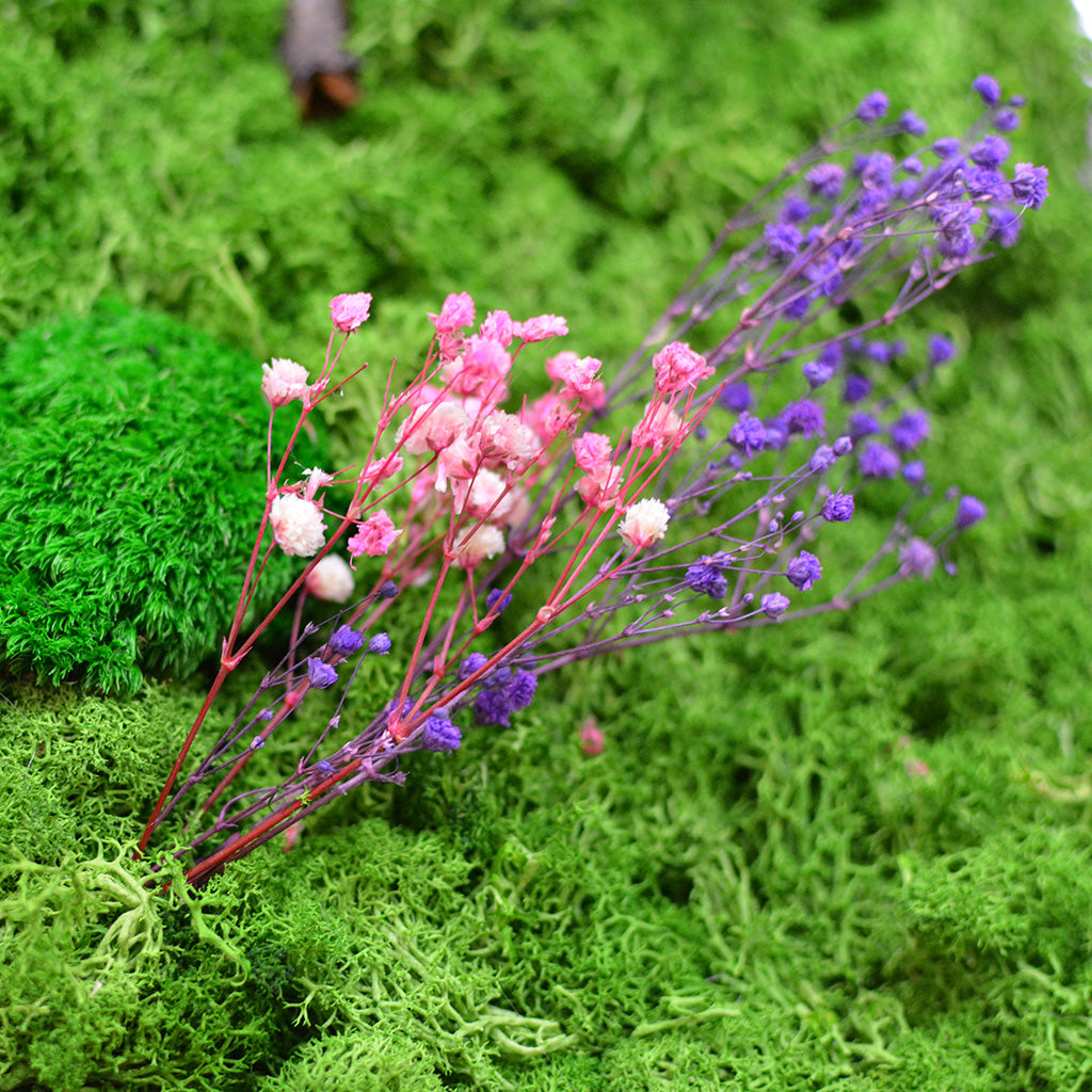 Handcrafted deep green fern textures