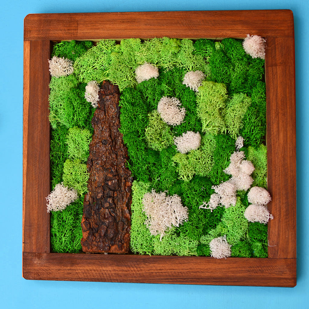 A Lichen Bog Preserved Moss Frame with Dark Wood - myBageecha