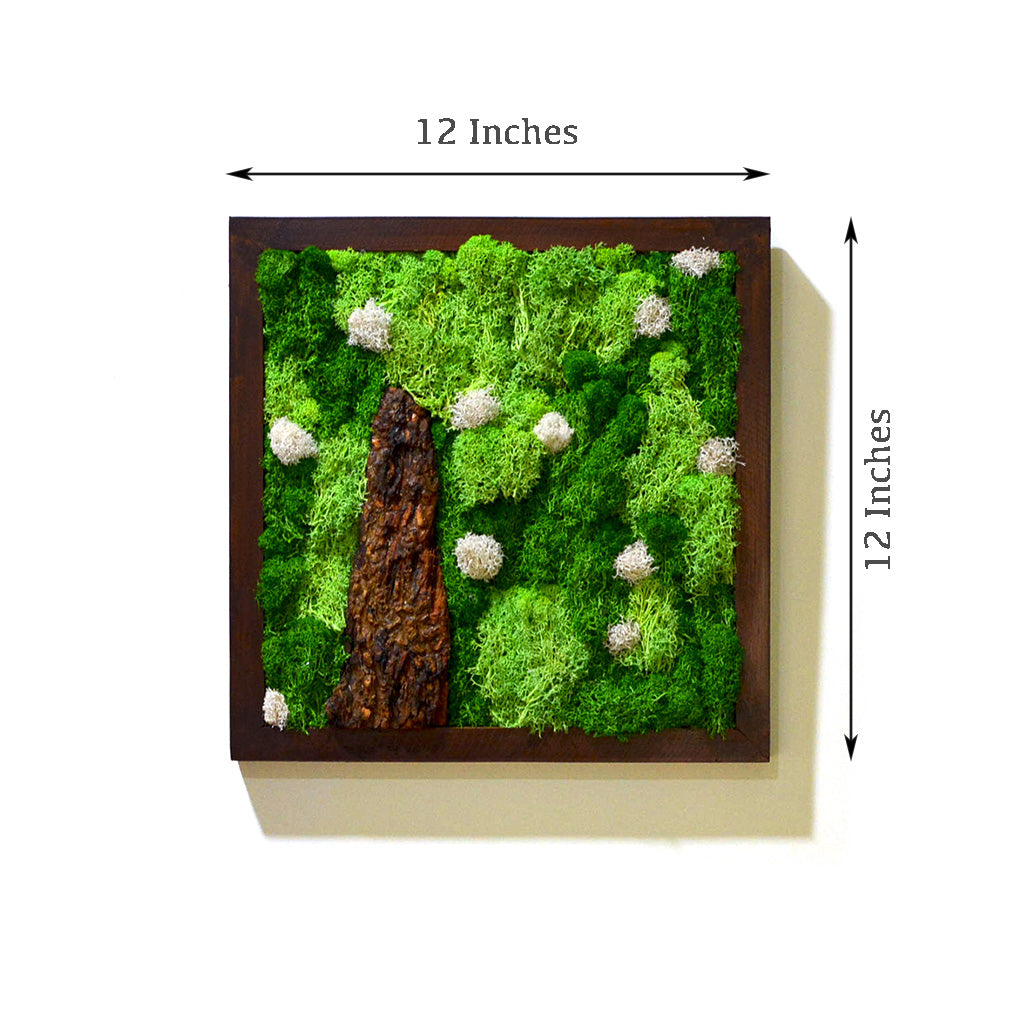 Natural moss tones in dark wood frame – eco-friendly décor