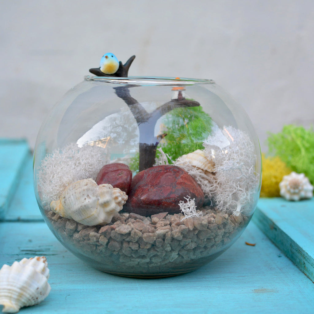 A Mossy Ledge Fairy Garden Kit - myBageecha