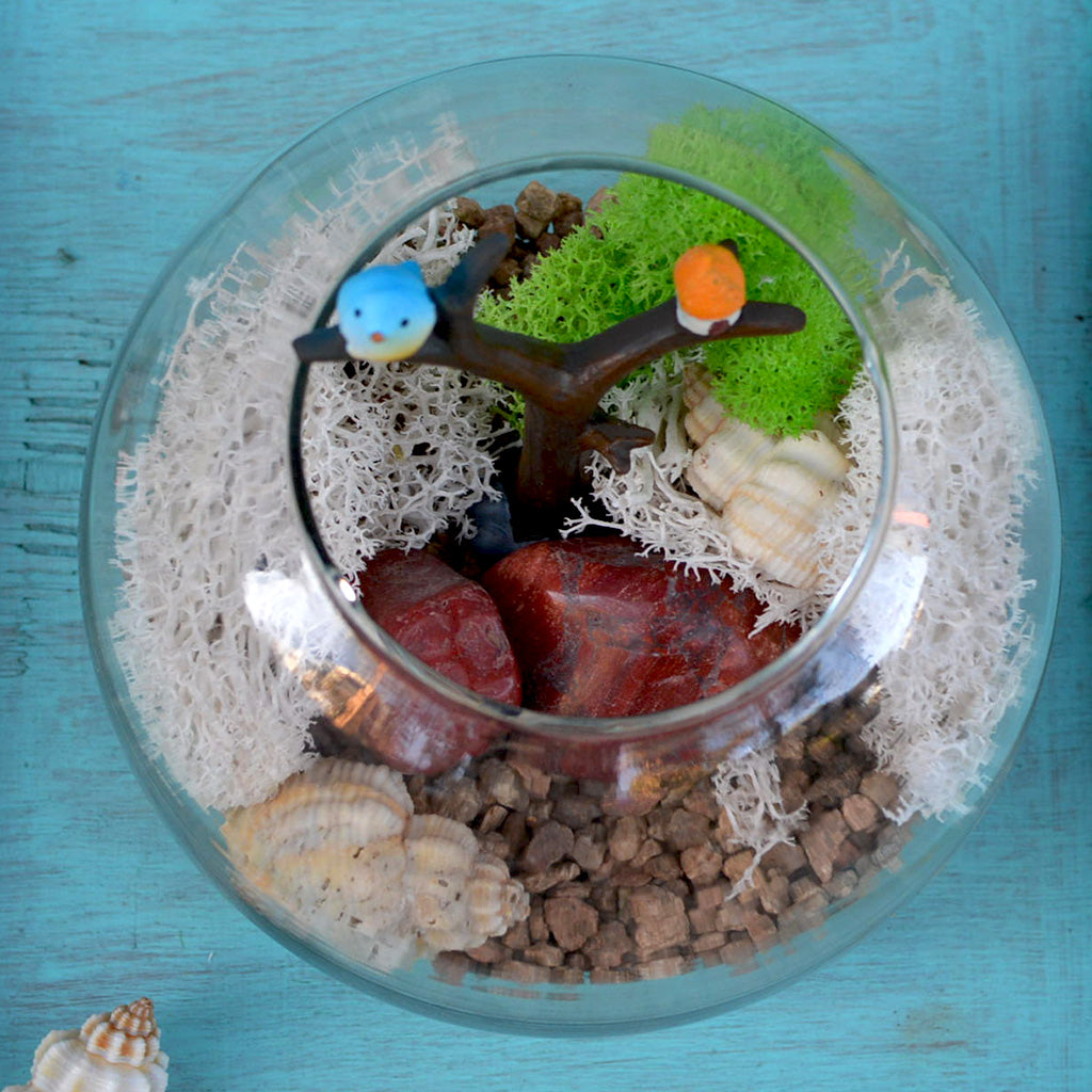 A Mossy Ledge Fairy Garden Kit - myBageecha