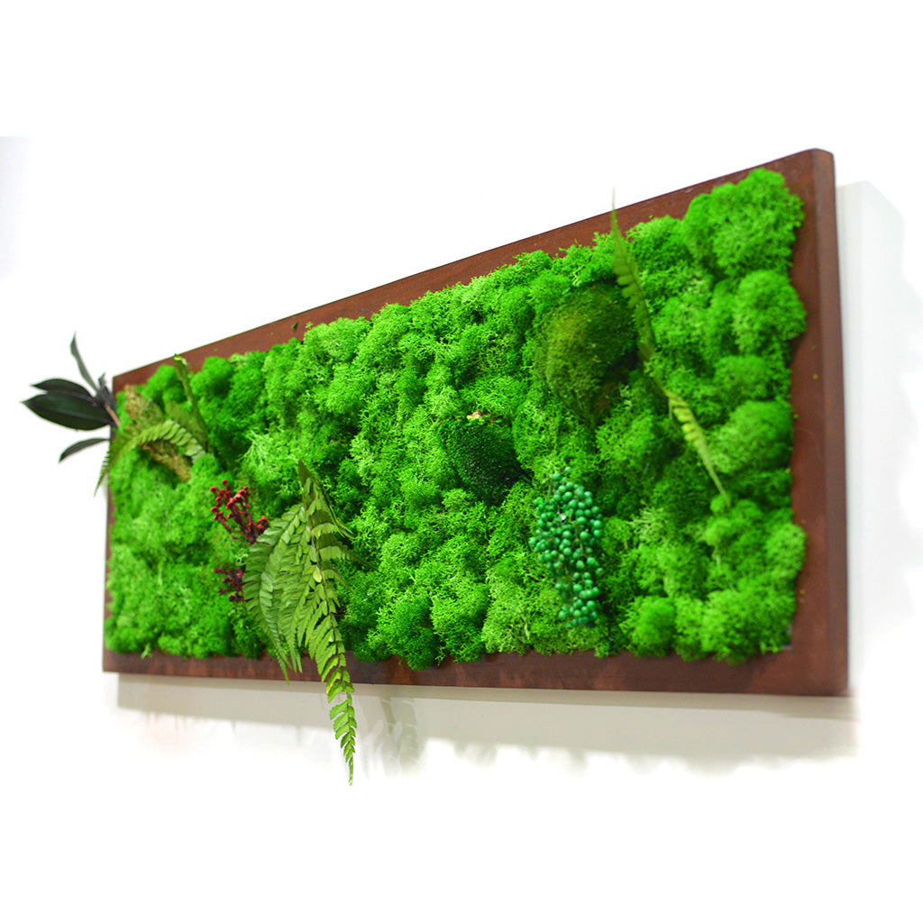 A Mystical Forest Preserved Moss Frame with Dark Wood - myBageecha