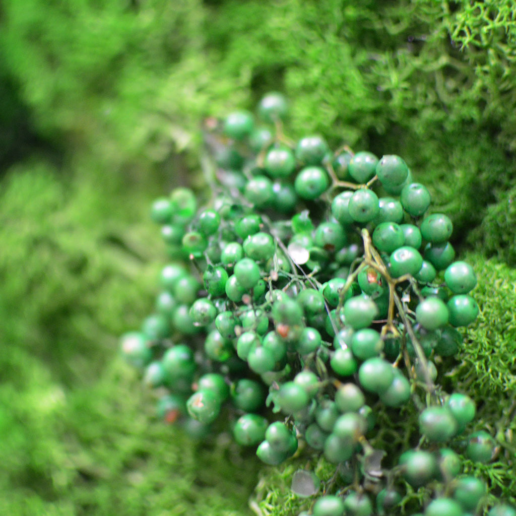 A Mystical Forest Preserved Moss Frame with Dark Wood - myBageecha