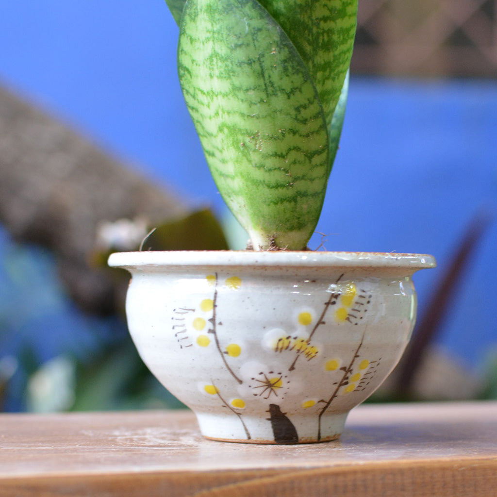 A Stormy Afternoon Ceramic Pot - myBageecha