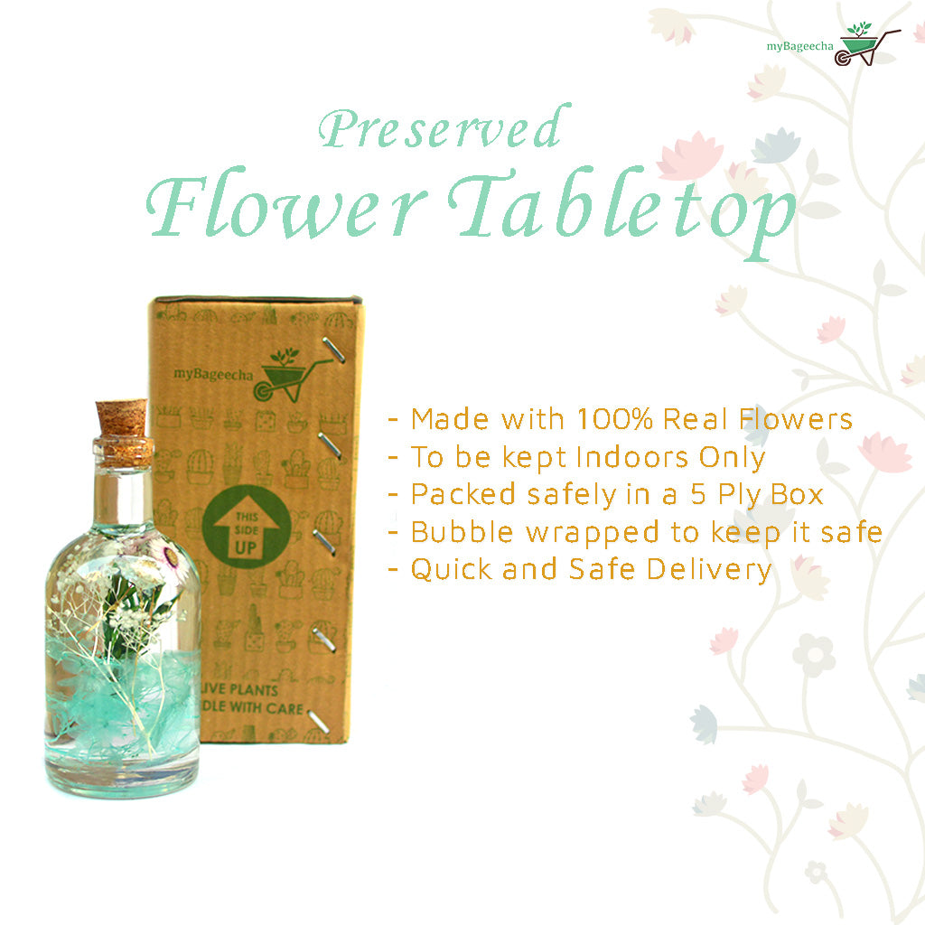Aqua Spring Preserved Flower Tabletop - myBageecha
