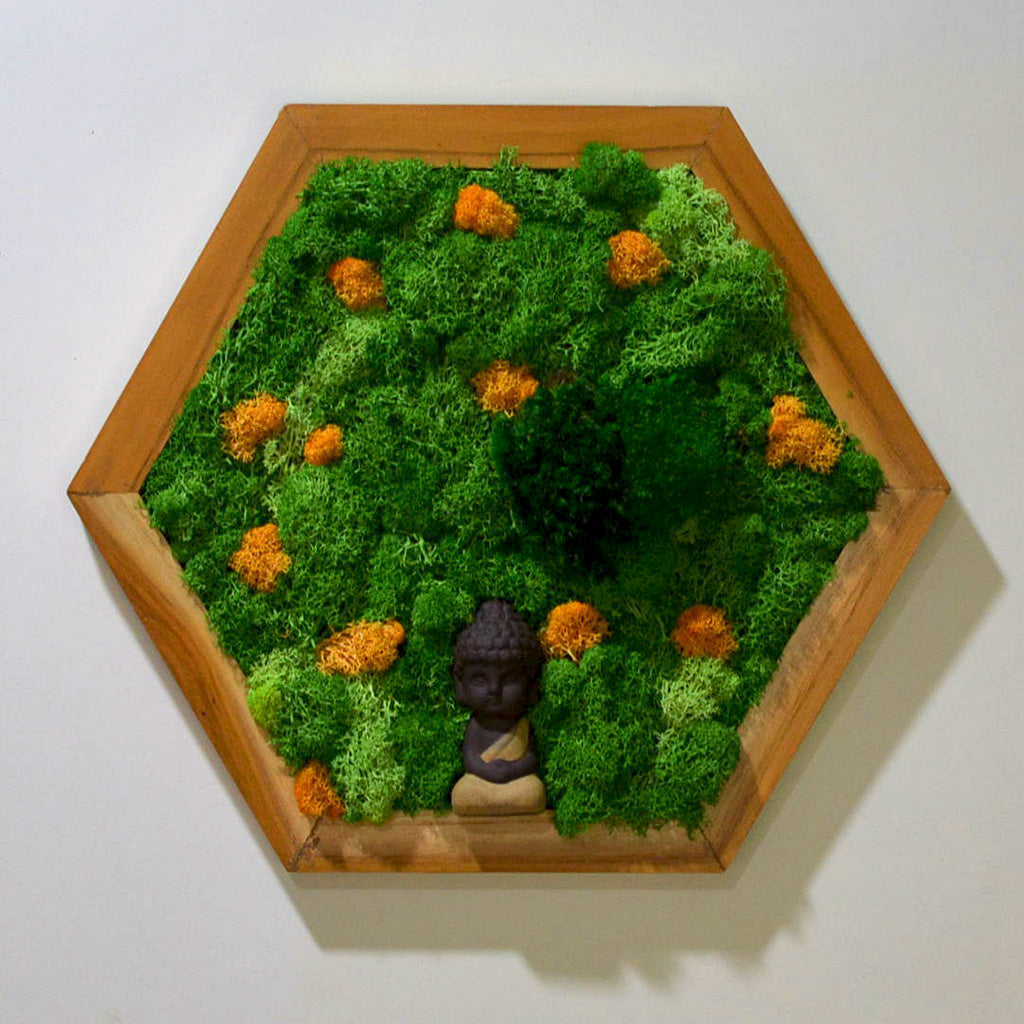 Calm minimal moss art – close-up texture