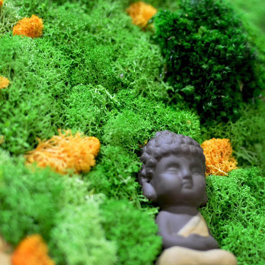 At a Standstill moss art handcrafted with nature by myBageecha