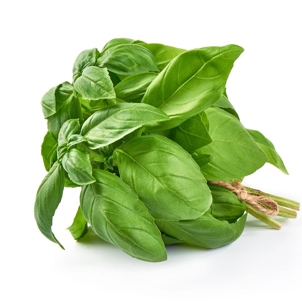 Organic Basil annual herb crop – myBageecha