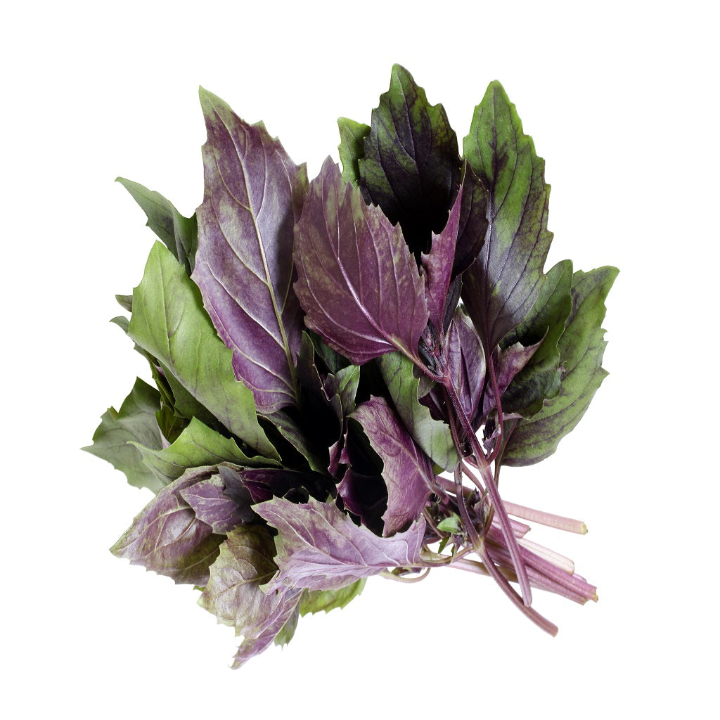Organic Purple Basil annual herb crop – myBageecha