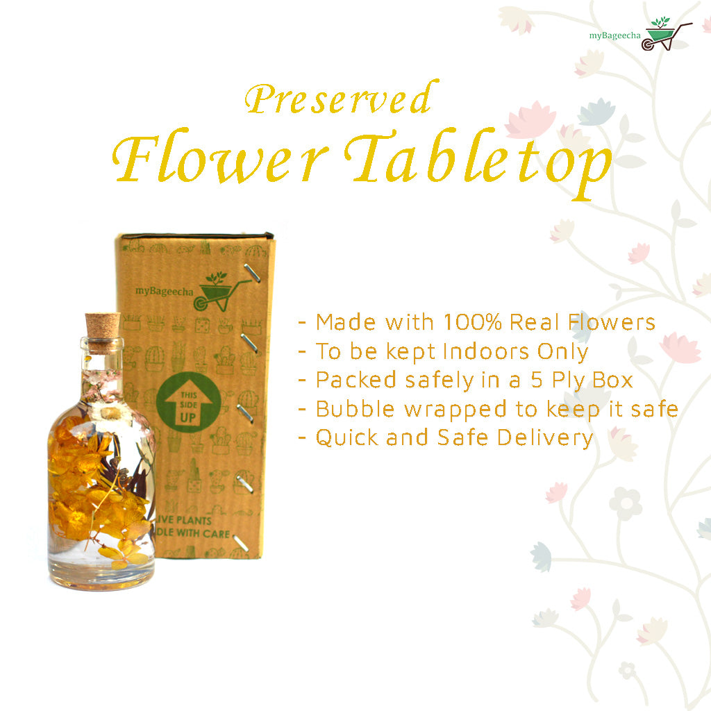 Baroque Carafe Preserved Flower Tabletop shown with box- myBageecha