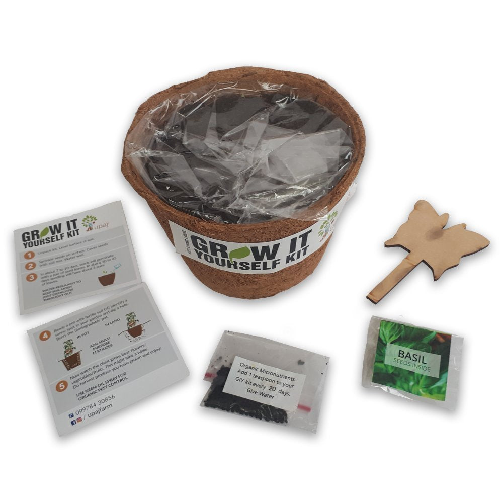 Ready To Grow Kits - Basil - myBageecha