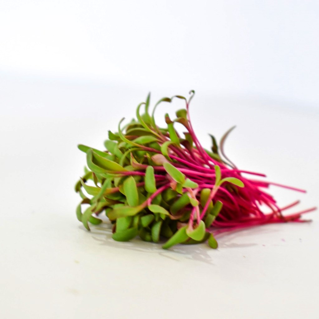 Microgreens Beetroot Seeds – myBageecha