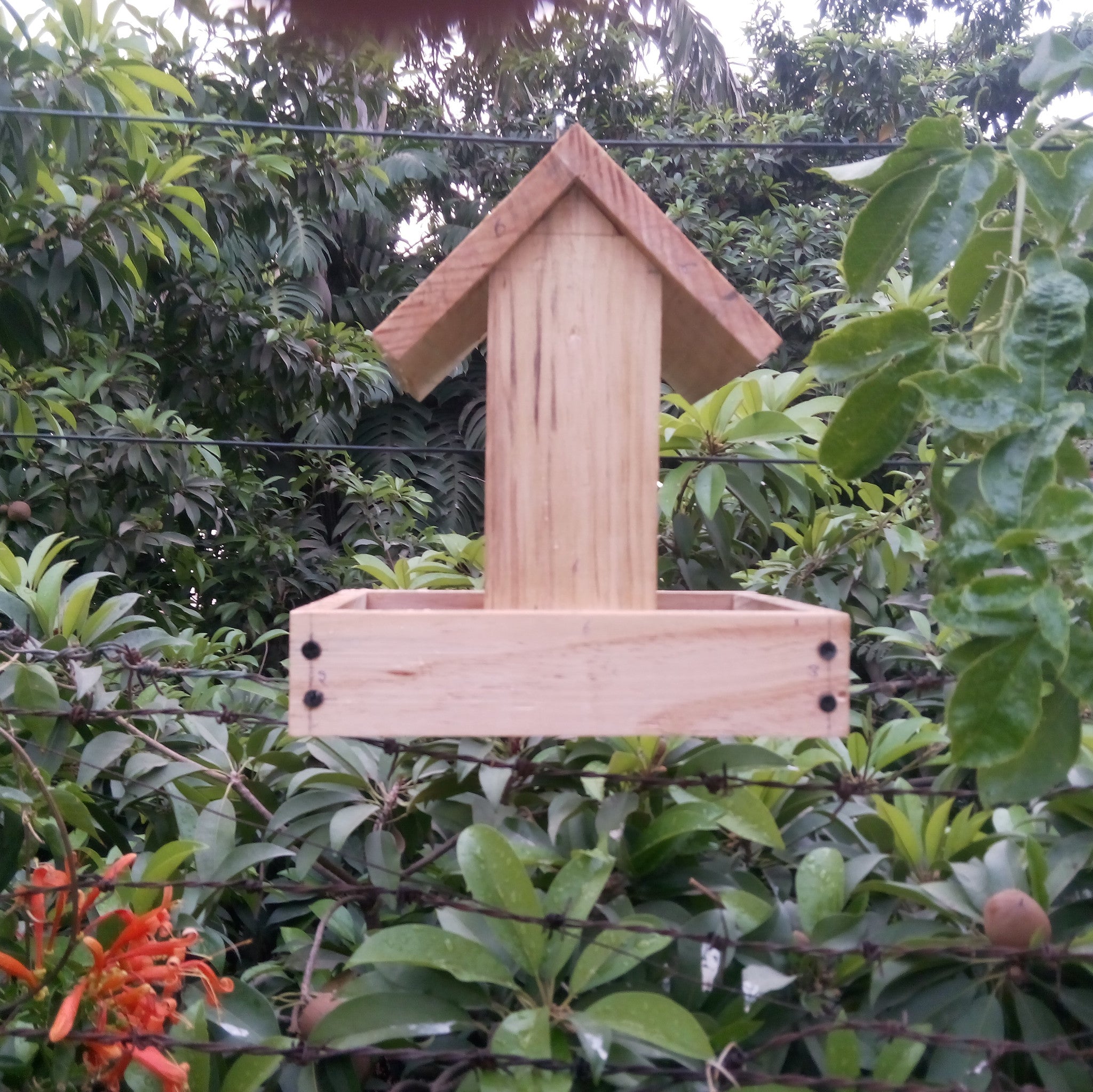 Bird Feeder - DIY Kit Birdie myBageecha - myBageecha