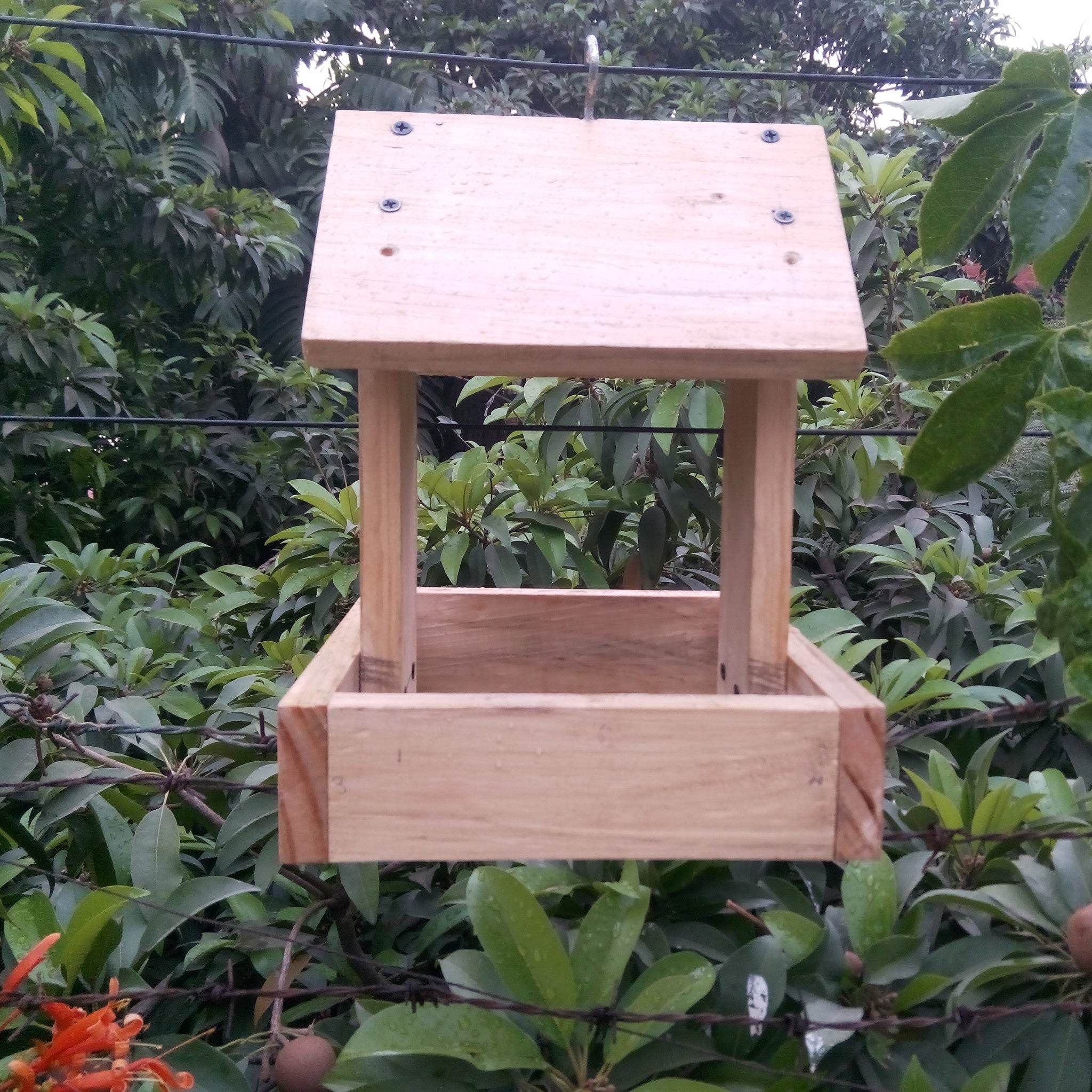 Bird Feeder - DIY Kit Birdie myBageecha - myBageecha