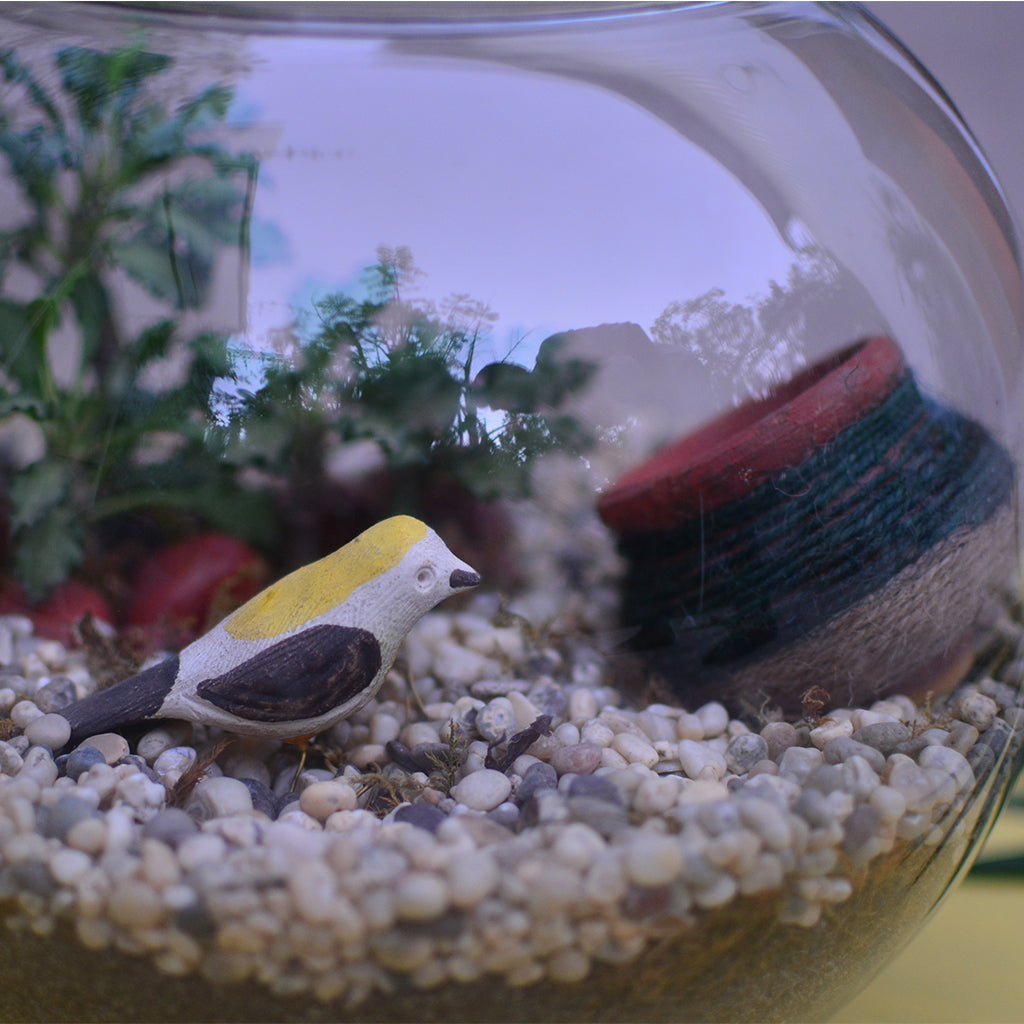 Bird and the Pitcher Terrarium Kit - myBageecha