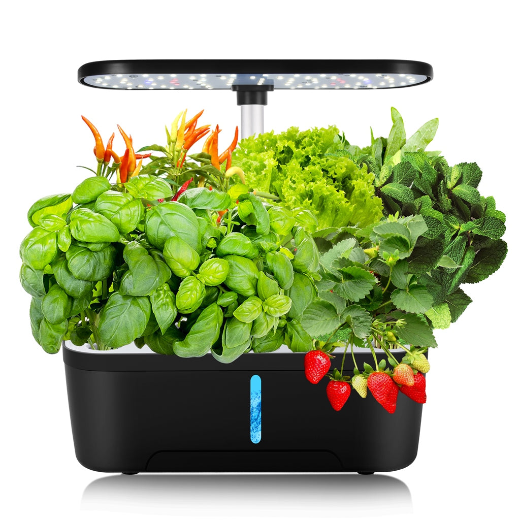 Smart Garden - Indoor Hydroponic Growing Kit - 6 Pods - myBageecha